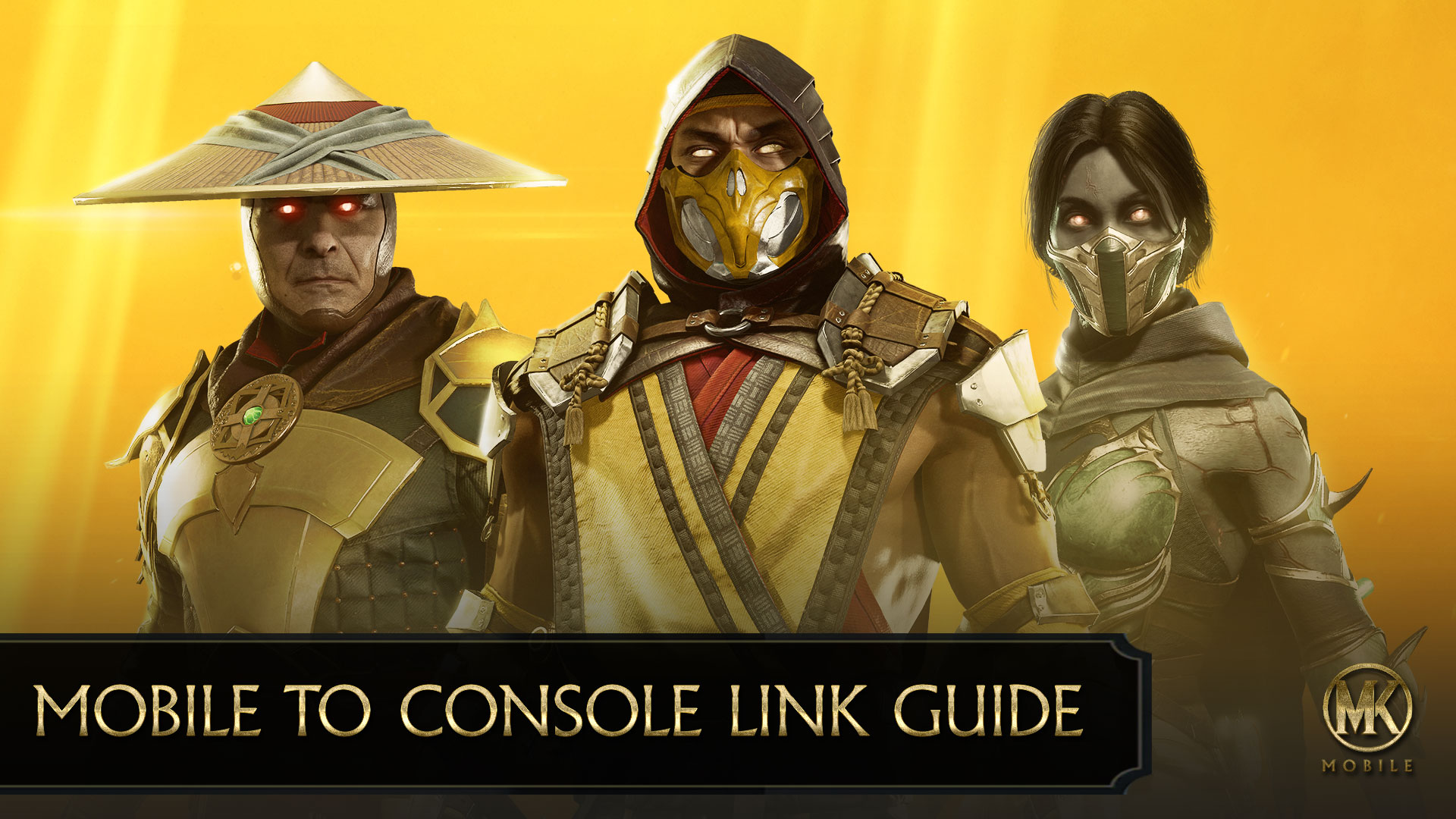 CS_LINK_GUIDE.jpg