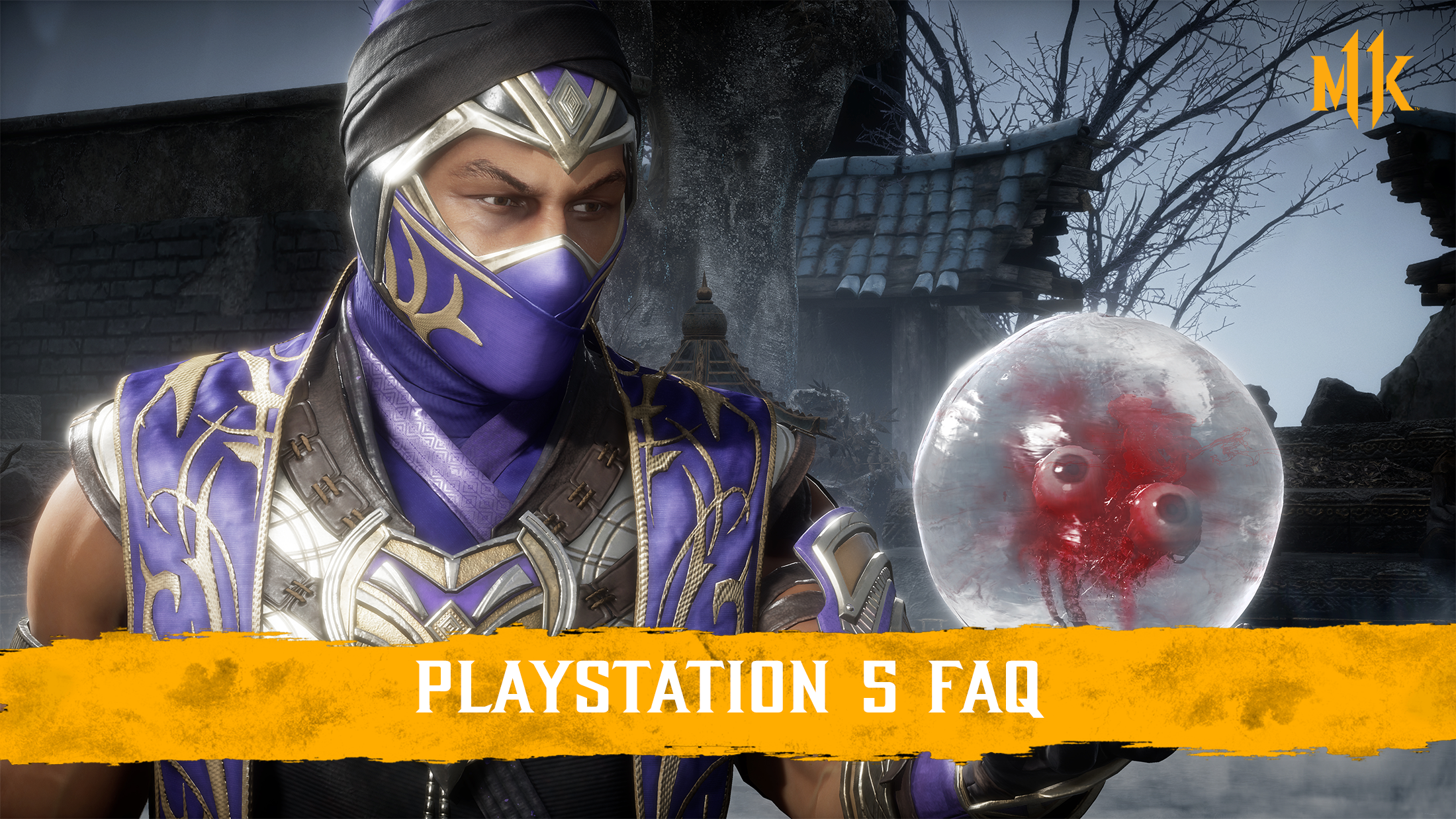 ps5_faq.png